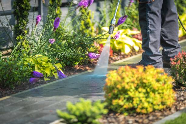 Best Pool Deck Cleaning  in Cedarville, OH